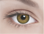 Линзы полной смены цвета глаз Pure Hazel (темно-коричневый/темно-карий) в упаковке 2 шт.