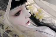 Кукла Trinity Doll — Snow Flower ; White Jude — LE10 (e), (высота 105 см), фулсет