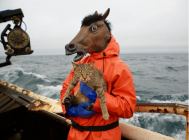 Маска Голова коня Horse Head Mask