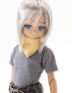 Лимитированная аниме кукла Alvastaria — PureNeemo — Vince — 1/6 — ~Alvastaria in another dream Exhibition Model~, Azone Direct Store Sales ver.