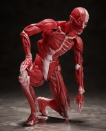 Фигурка Figma — The Table Museum — Human Body Mode