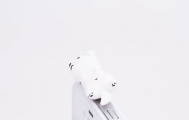 Аксессуар на разъём для наушников — Earphone Jack Accessory — Wanko — White Labrador
