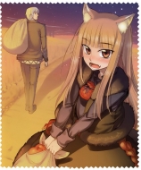 Салфетка из микрофибры Spice & Wolf — Holo