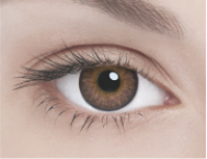 Линзы полной смены цвета глаз Brown (коричневый/карий) в упаковке 2 шт.