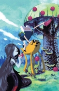 Время Приключений (Adventure Time), выпуск 2 (вариант обложки Г)